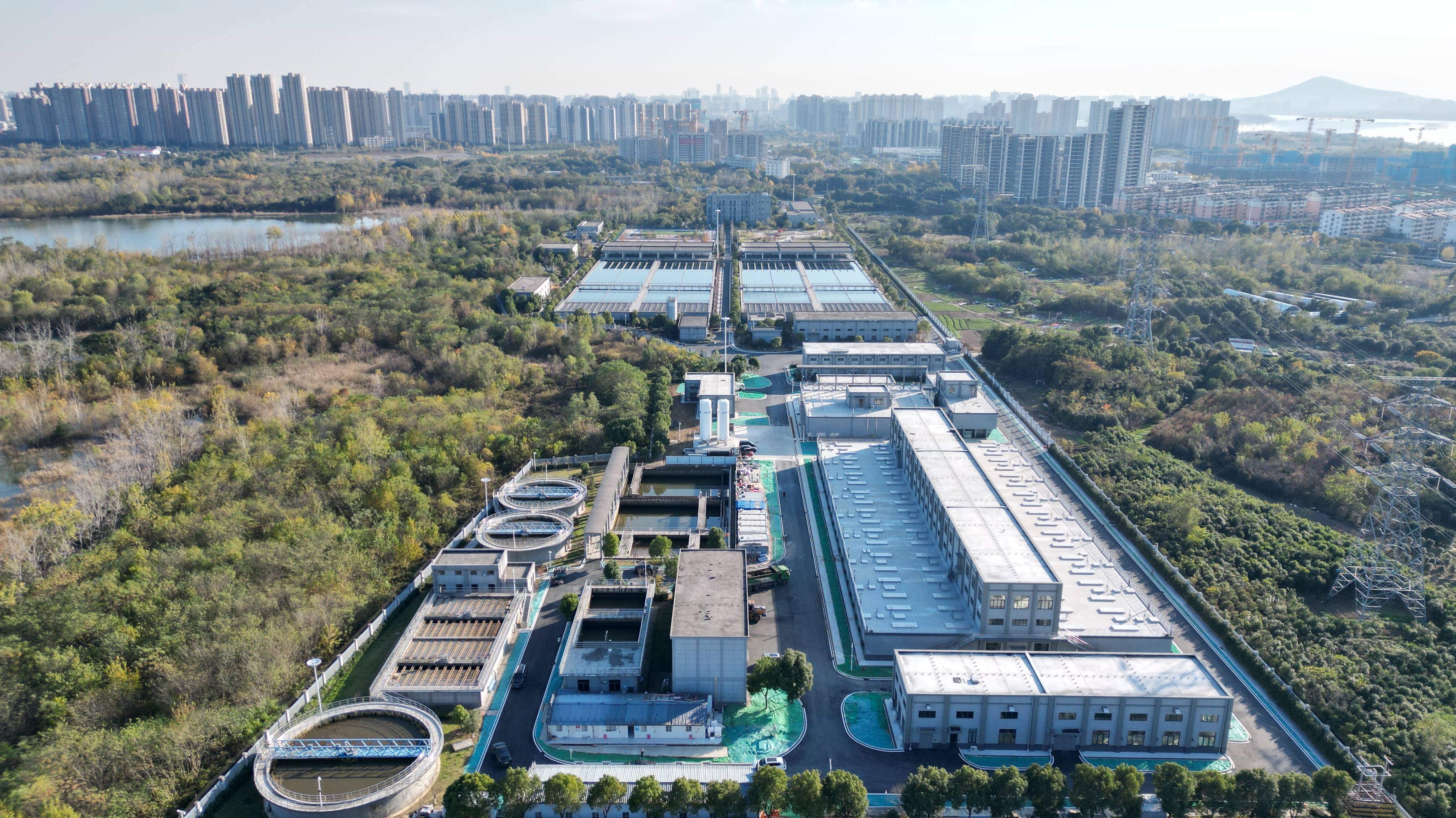 娄底市合肥专业企业价值增长(合肥市重点企业产业目录)