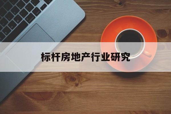 娄底市标杆房地产行业研究(房地产领域的标杆人物)