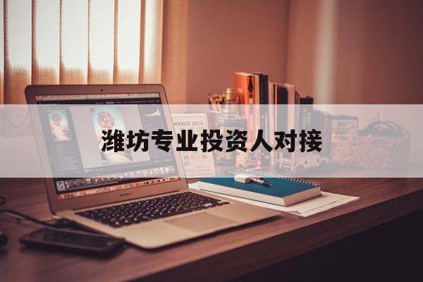 娄底市潍坊专业投资人对接(潍坊专业投资人对接中心)