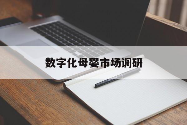 娄底市数字化母婴市场调研(数字化母婴市场调研报告)