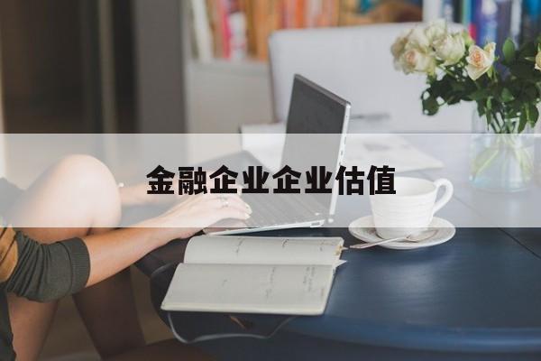 娄底市金融企业企业估值(最新企业估值怎么填)